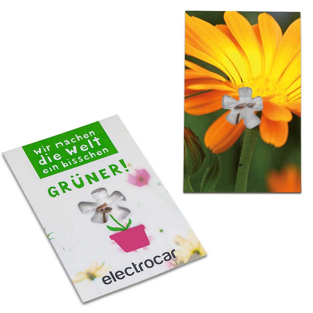 Samen-Karte-Mini Blume - Ringelblume