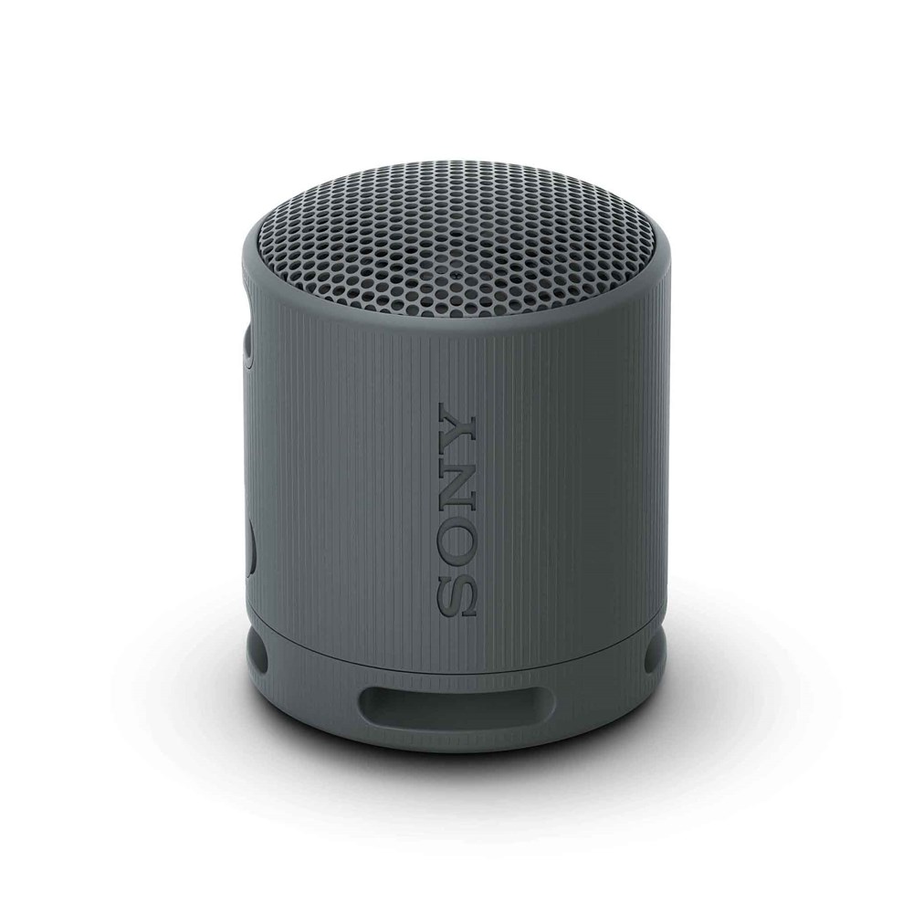 Sony Bluetooth Speaker SRS-XB100 Schwarz