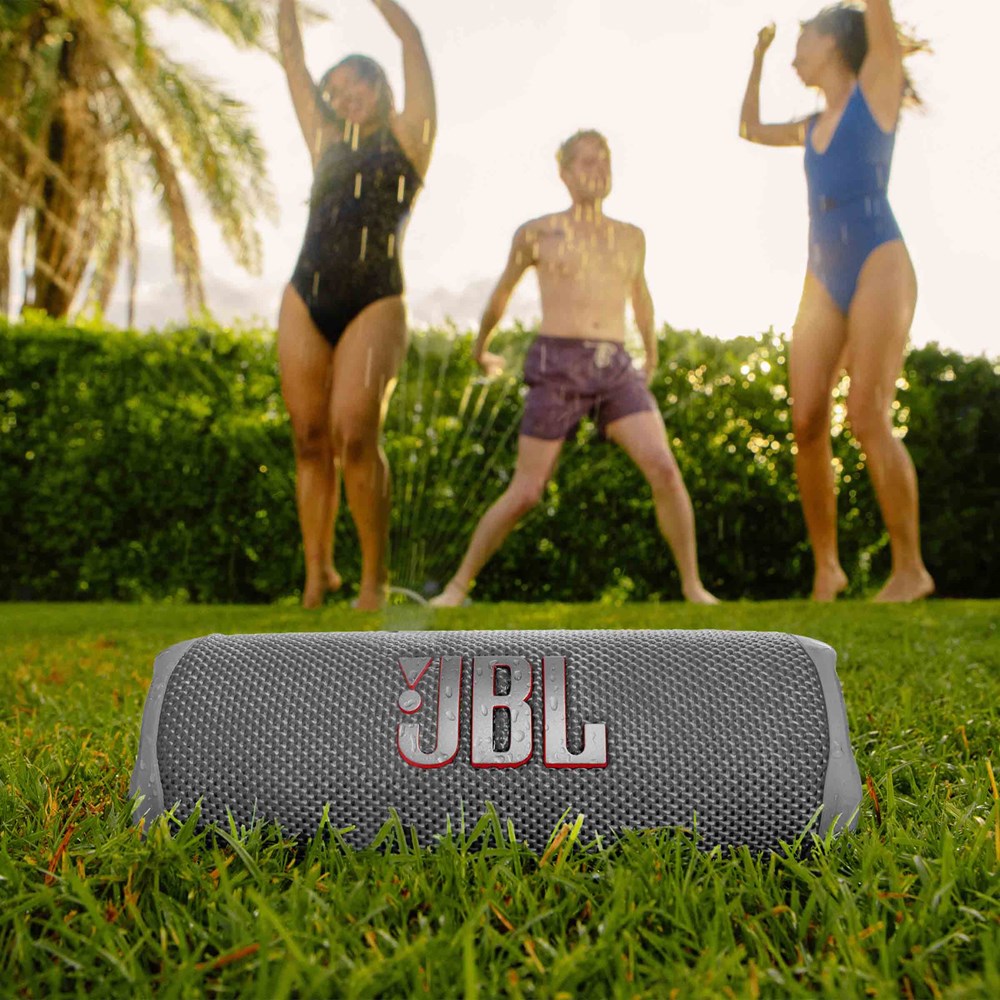 JBL Flip 6 Gray